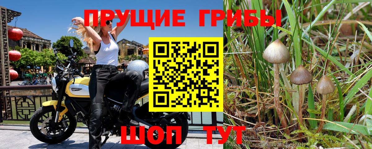 Галлюциногенные грибы мухоморы Семёнов
