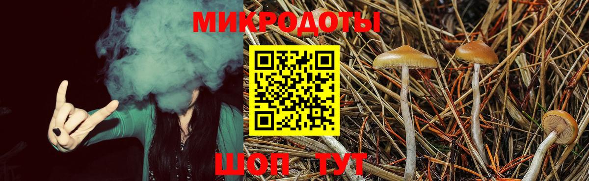 Семёнов  Галлюциногенные грибы MAGIC MUSHROOMS  Вход с VPN 